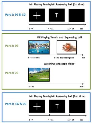 Frequency Specific Cortical Dynamics During Motor Imagery Are Influenced by Prior Physical Activity
